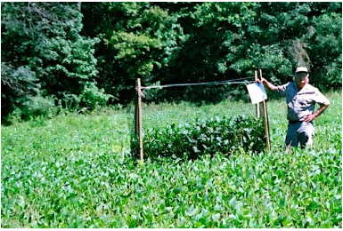 New Jersey Agriculture